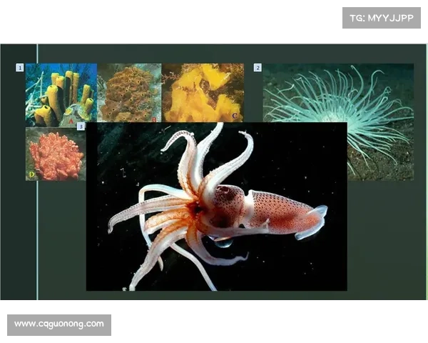 格里洛克之眼解码未知世界 探索三大未解之谜背后的深层奥秘 格里洛克之眼解码未知世界 探索三大未解之谜背后的深层奥秘