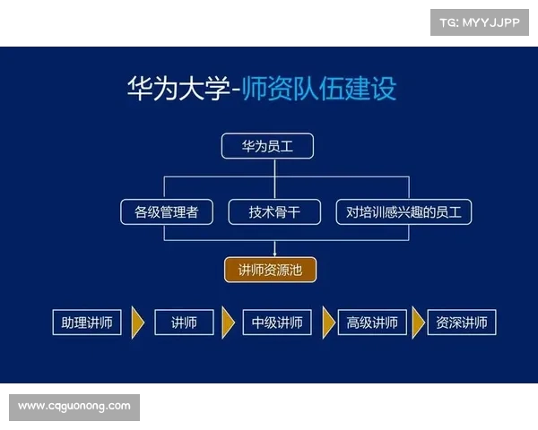 全面梳理澳洲杯赛事每日最新时间安排深度指南全方位解读规划汇编